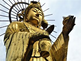 ����ω�����J���I�P�ω��܂ŁI�O�d�̎R���ɂ����ω����̋L���T���l�C��