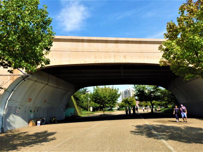 大阪に日本一低い山 意外な歴史を秘めた堺市の大浜公園 大阪府 トラベルjp 旅行ガイド