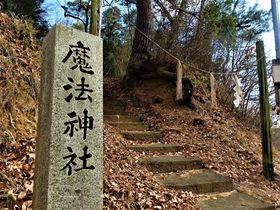 �g���@�_�Ёh���I���R�����Ўs�̊ό��͖��@�ƋS�̋����H�̋L���T���l�C��