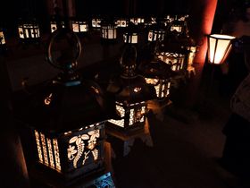 世界遺産の杜にともる無数の明かり！奈良・春日大社「万燈籠」