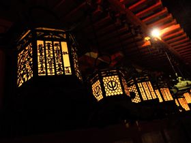 世界遺産の杜に灯る無数の明かり！奈良・春日大社「万燈籠」