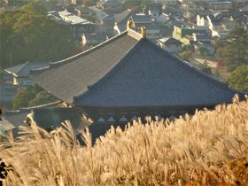 XXL𒭂߂ȂÓsEޗǂ𖞋iIH̎ᑐRoR̋LTlC