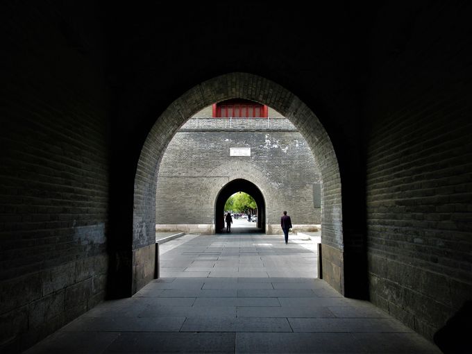 �O�G�̐N����h�����̍\��