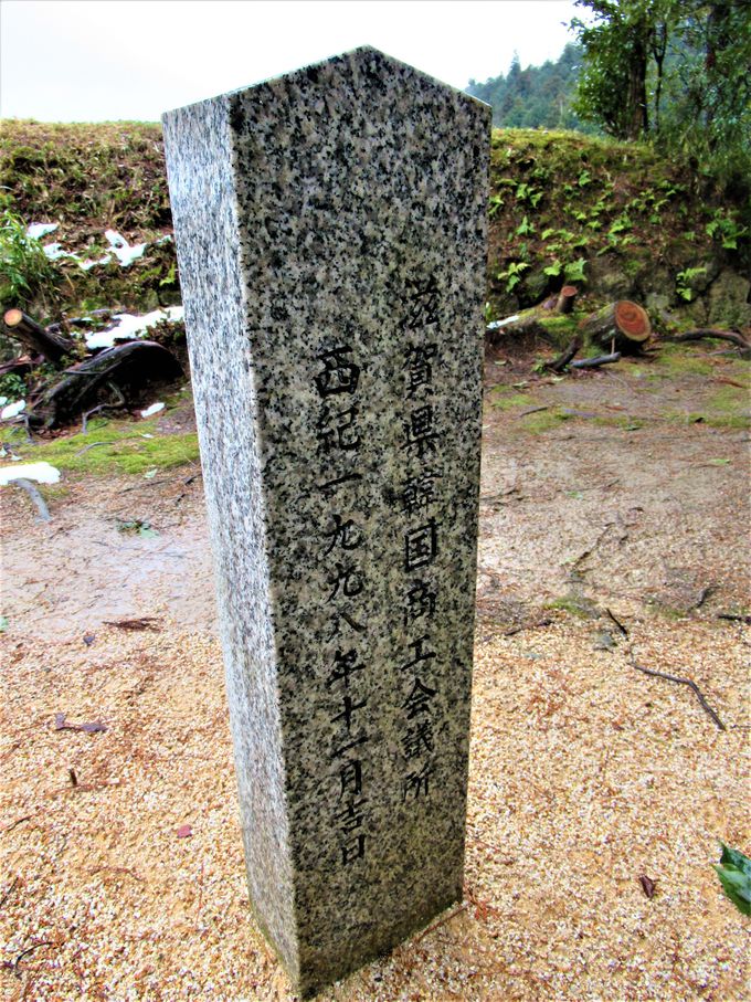 SWzÂŌꂽ