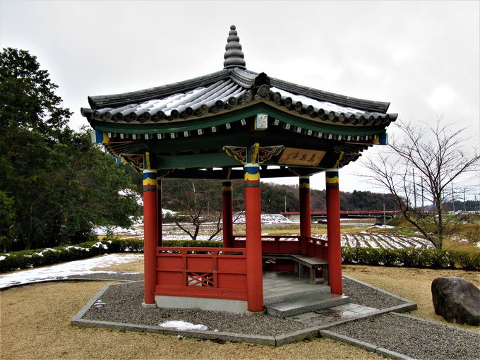 SWzÂŌꂽ