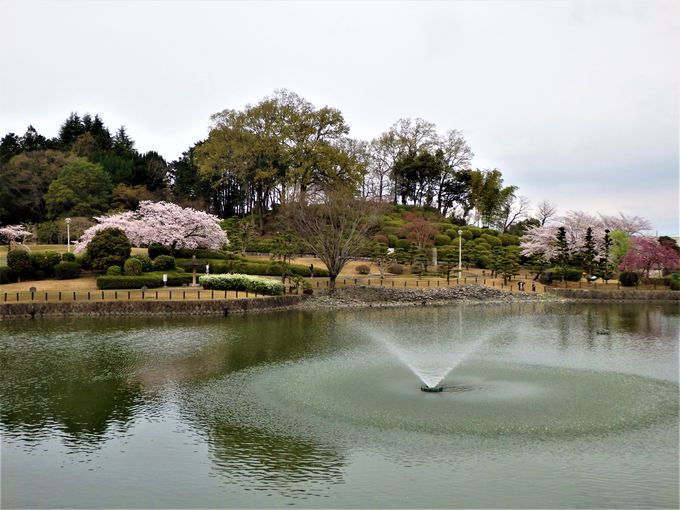 屋敷山公園 オファー ペット