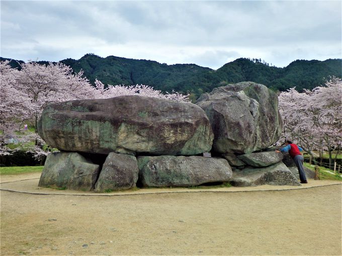 古代のロマンを満喫！奈良県明日香村「石舞台古墳」のお花見