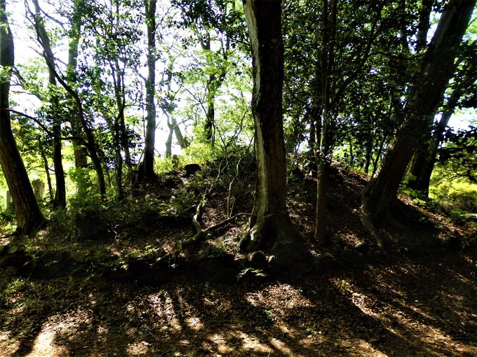 ヒツジとも遊べる 奈良県山添村 神野山 は見どころ満載 奈良県 トラベルjp 旅行ガイド