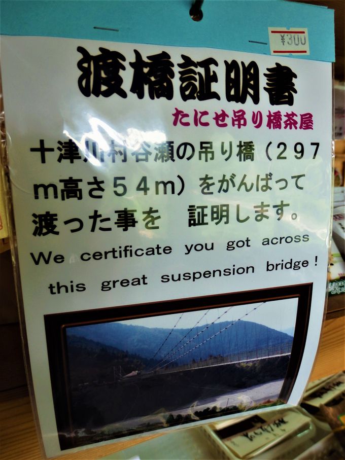 ̂͒NIH݂苴nƂ̗ӓ_