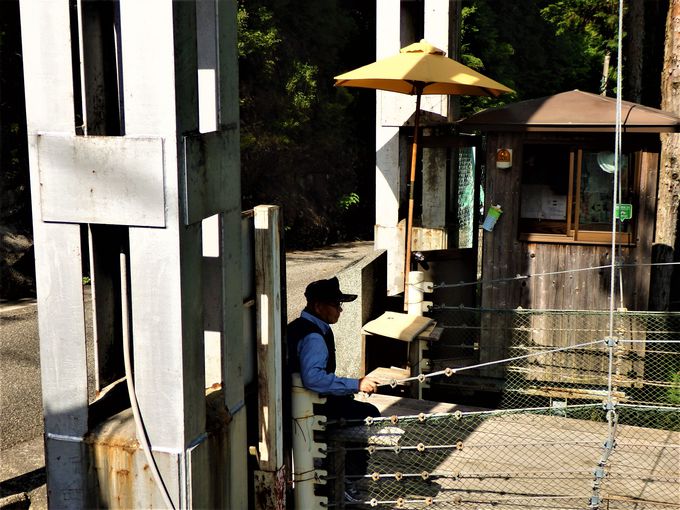 ̂͒NIH݂苴nƂ̗ӓ_