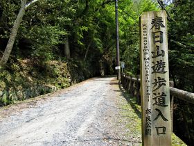 森林浴を楽しみながら若草山へ！奈良市「春日山遊歩道」