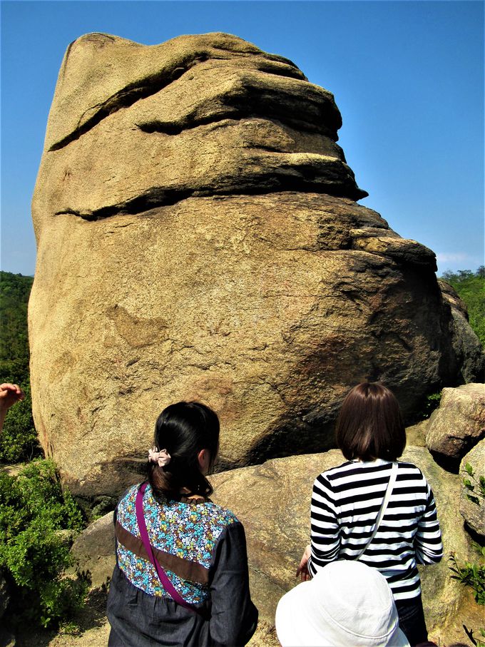 ��̐l�ʊ₪�I�H������ƕs�C���ȁu�j�R�j�R��v