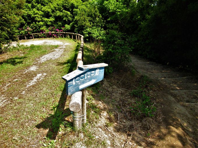 ��̐l�ʊ₪�I�H������ƕs�C���ȁu�j�R�j�R��v