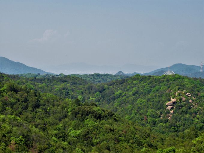 ���˓��C����]�I�j�R�j�R�₩��̒���