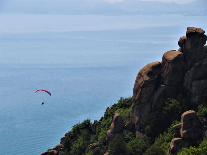 �ޕ��ɂ͐��ˑ勴���I��₪�A�Ȃ鉤�q���x�Ȃ�ł͂̌��i