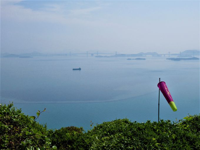 �ޕ��ɂ͐��ˑ勴���I��₪�A�Ȃ鉤�q���x�Ȃ�ł͂̌��i