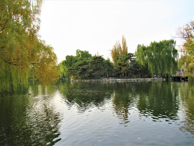 池や水路が広がる広大な園内