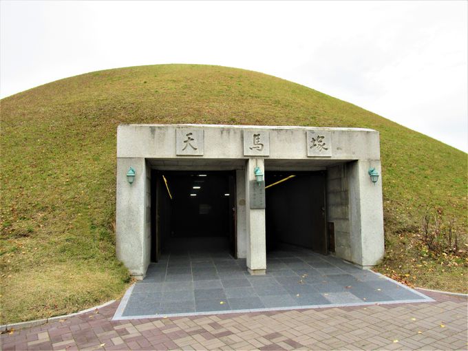 慶州で古墳群といえば、やはりここ！「大陵苑」