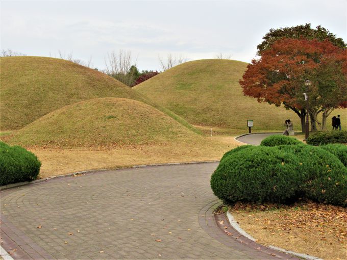 慶州で古墳群といえば、やはりここ！「大陵苑」