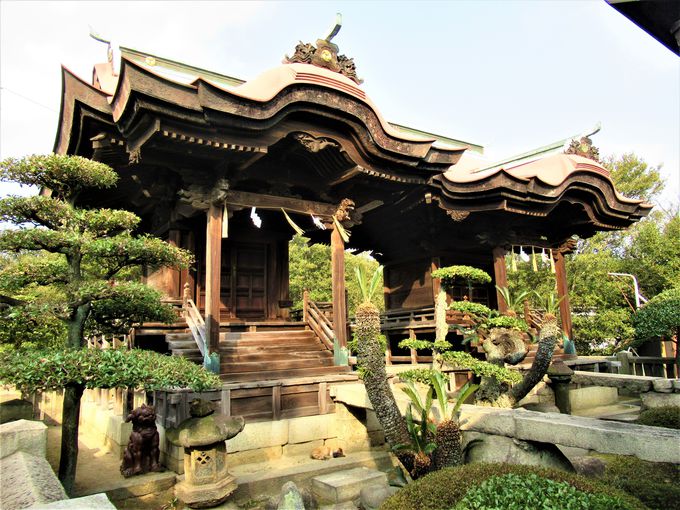 ̖{aL鉺Èńu__Ёv