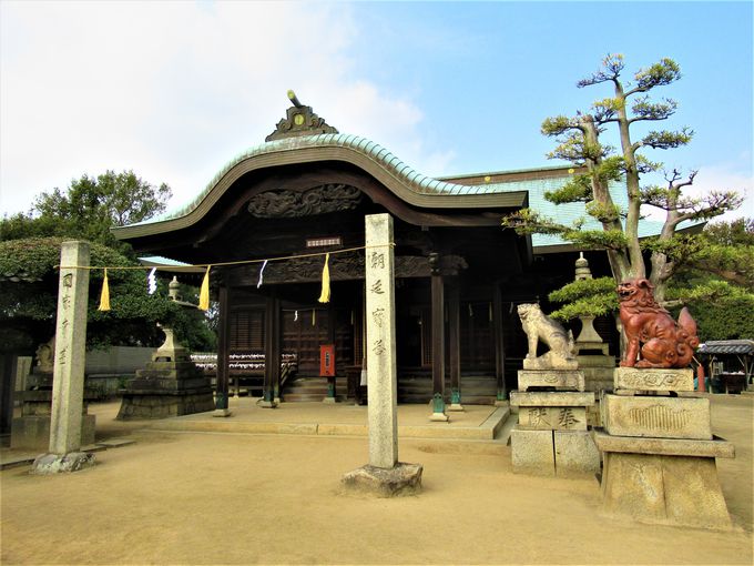 ̖{aL鉺Èńu__Ёv