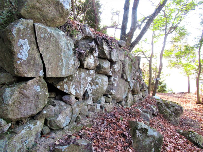 播磨国守護・赤松氏の栄光と悲劇！兵庫県姫路市「置塩城跡」 | 兵庫県 | トラベルjp 旅行ガイド