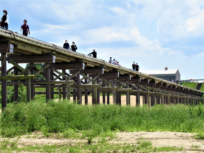 流されてもまた復活 京都府八幡市の 上津屋橋 流れ橋 京都府 トラベルjp 旅行ガイド