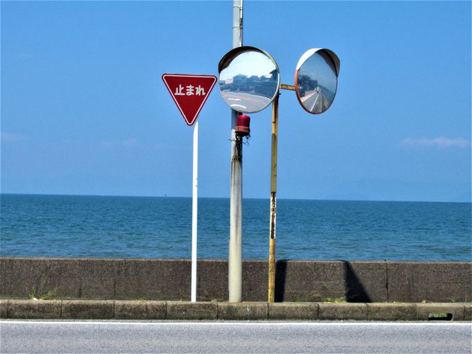 Ȃڂƈꏏɂ߂낤IW̗lq