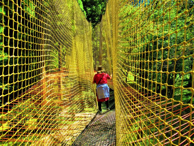 ͉!?u󒆂̑v݂̒苴Ɓu쉎v