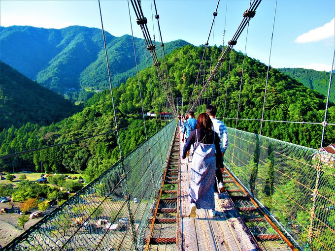 ܂͂I{L̋K͂ւuJ݂̒苴v