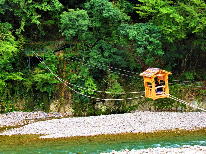 ͉!?u󒆂̑v݂̒苴Ɓu쉎v