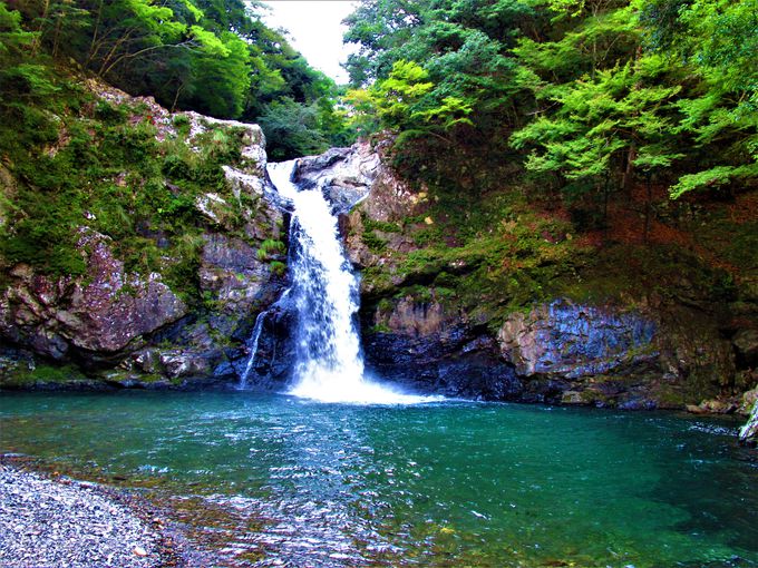 ݂苴wƂ킹āIĂłu[̑v