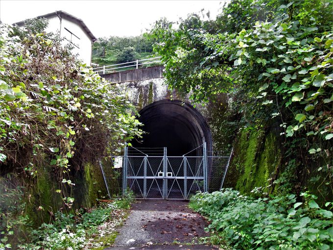 バス専用道路時代の遺構も残す「生子トンネル」