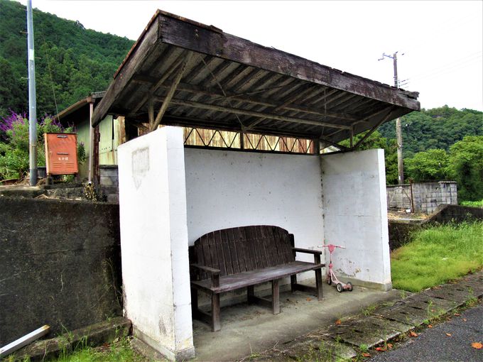 �o�X��p���H����̈�\���c���u���q�g���l���v