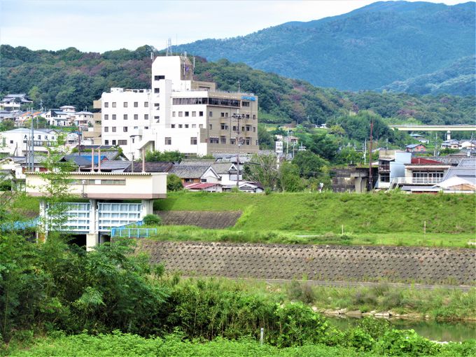 �I�ɔ������c�f���悤�Ƃ����u�ܐV�S���v