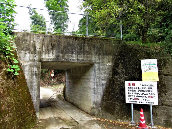 �f��̃��P�n�Ƃ��Ȃ����ꖼ���n��̘H����