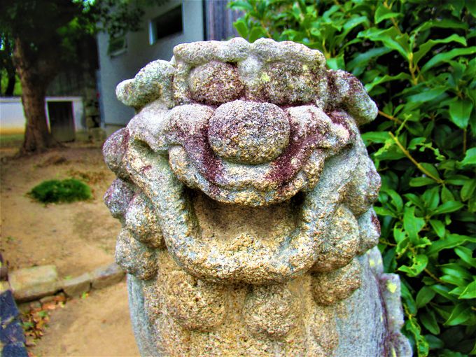 脱力系？石工・権兵衛の「笑う狛犬」をめぐる奈良の旅 | 奈良県