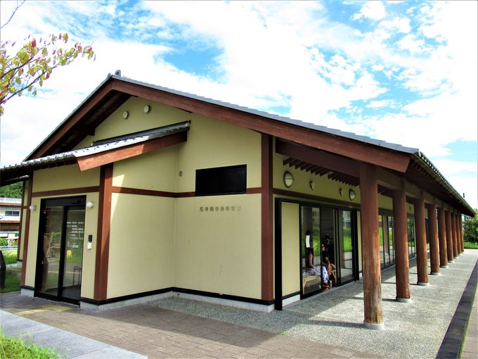 ����ȐS�b�ɂт�����I�򎛔p���Պw�K��