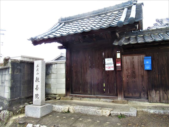 �k�p���ɐ�삯�Č������ꂽ��p��