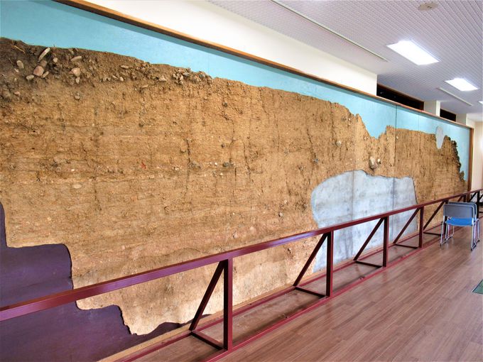 ����ȐS�b�ɂт�����I�򎛔p���Պw�K��