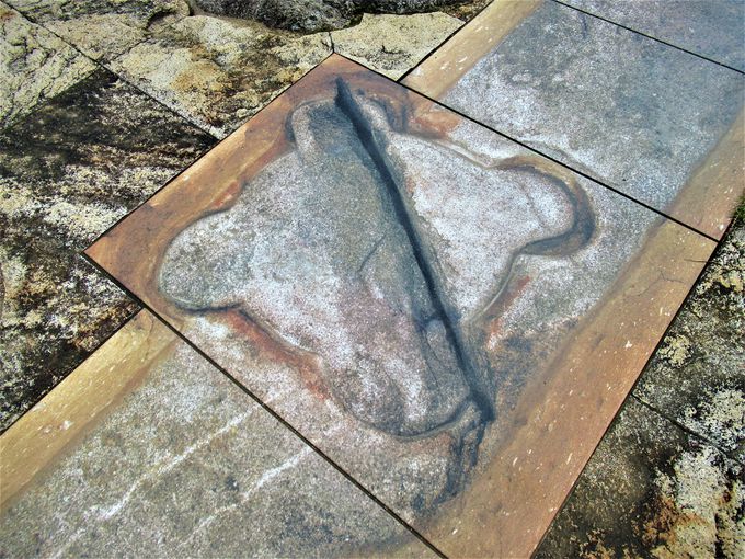 ���{�ő勉�̐S�b���������ꂽ�򎛔p����