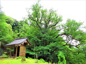 Ɉ|Igωh{Ƃ鎠ꌧuԎv̋LTlC