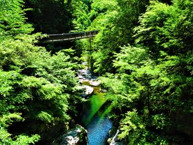 緑の木々に包まれて！清涼感あふれる奈良「みたらい渓谷」の旅