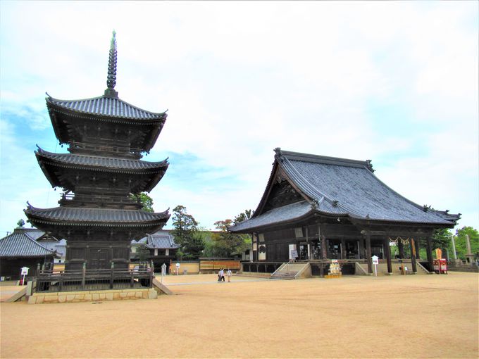 サイの角!?奈良時代の創建と伝わる「西大寺」