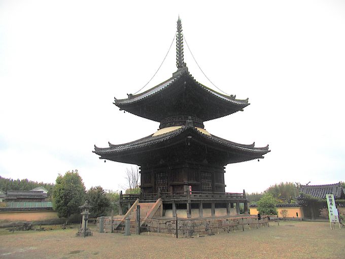 ���q�M�̐��n�I���{���q���̉b����