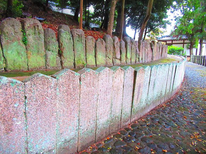 ��_�����Ƃ肩���ތ��E�΂̌Q��