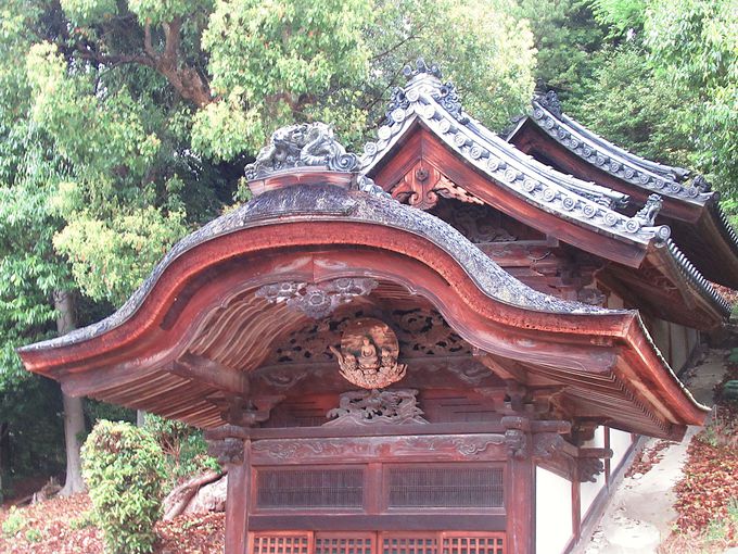 �������q��_��