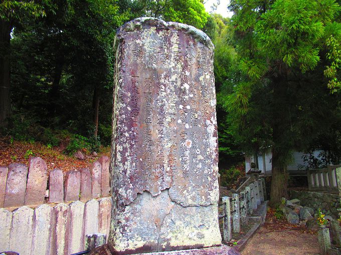 ���q�M�̓Ă�����������Δ����