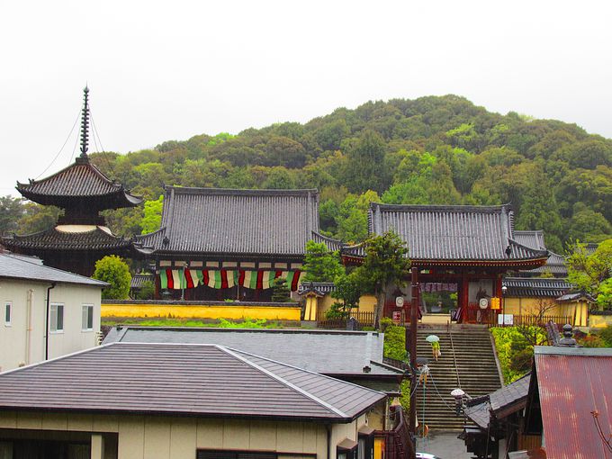 ���q�M�̐��n�I���{���q���̉b����