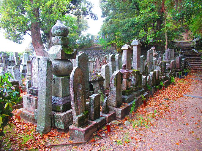 ���q�M�̓Ă�����������Δ����